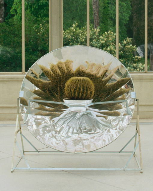 Seeing plants, 2003 - Palacio de Cristal, Parque del Retiro, Museo Nacional Centro de Arte Reina Sofia, Madrid – 2003