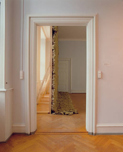 Moss wall, 1994 - Museet for Samtidskunst, Roskilde, Denmark – 1994 - Photo: Unknown photographer