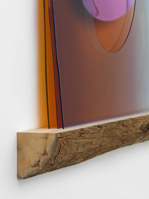 Forgetting our mammalian truths, 2022 - Tanya Bonakdar Gallery, New York – 2022 - Photo: Dan Bradica