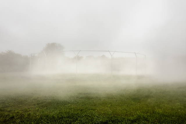 Fog assembly, 2016 - Palace of Versailles, France – 2016 - Photo: Anders Sune Berg