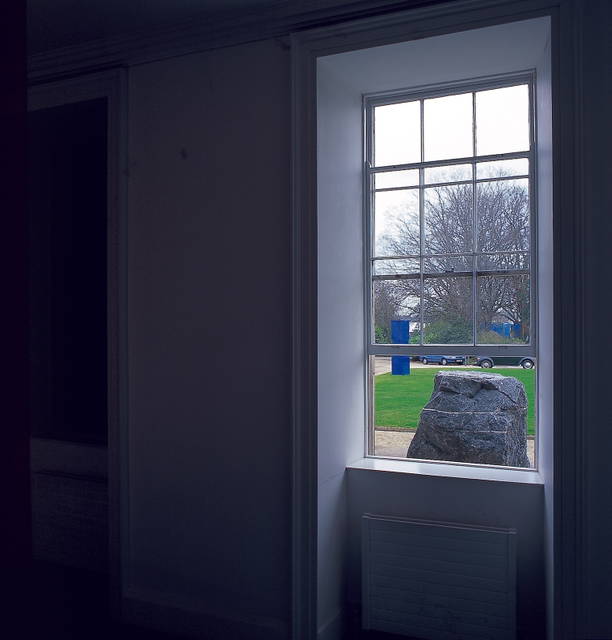 The curious garden, 1997 - Irish Museum of Modern Art, Dublin – 2000