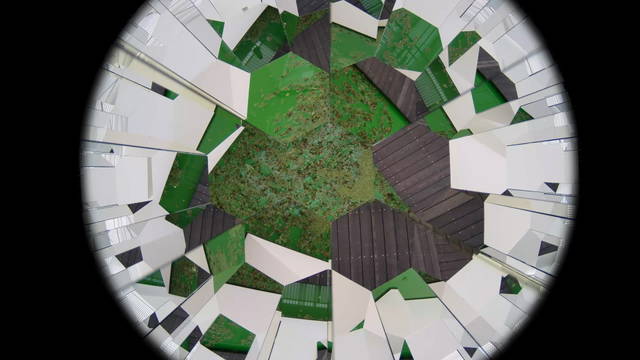 Livestream still from Life, 2021 - Fondation Beyeler, Riehen / Basel, Switzerland – 2021 - Photo: Studio Olafur Eliasson