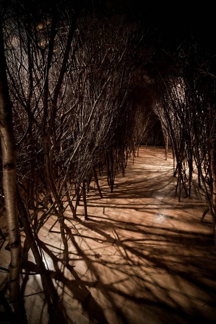 The forked forest path, 1998 - The Whitworth Art Gallery, Manchester – 1998