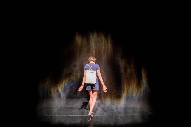 Beauty, 1993 - Musée d'art contemporain de Montréal – 2017 - Photo: Sébastien Roy