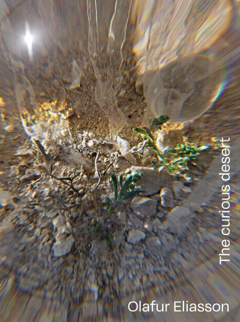 Olafur Eliasson: The curious desert