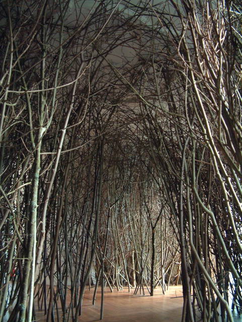 The forked forest path