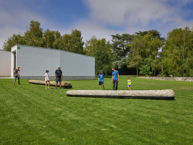 Arctic tree horizon, 2019 - The Serralves Museum of Contemporary Art, Porto – 2019 - Photo: Filipe Braga