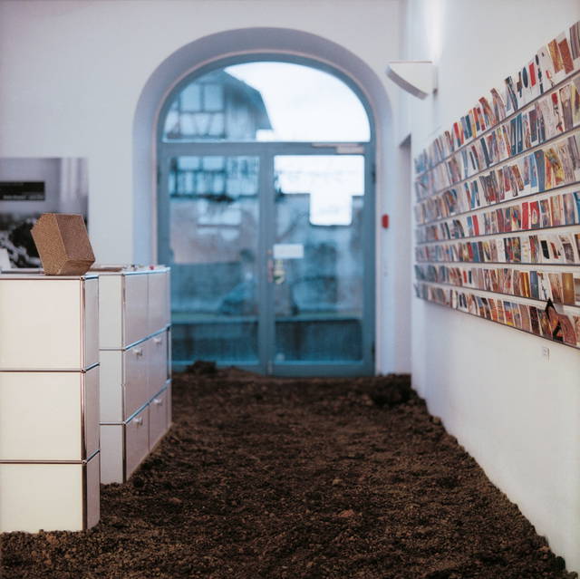 The body as brain - Lava floor: Projekt Sammlung (5) - Kunsthaus Zug, Switzerland – 2007 - Photo: Florian Holzherr