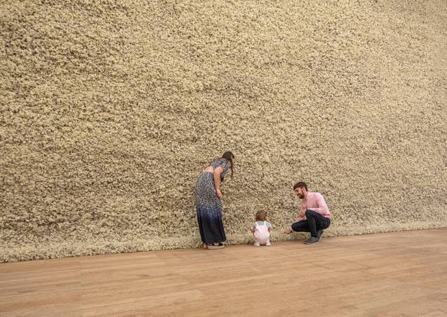 Moss wall, 1994 - Tate Modern, London – 2019 - Photo: Anders Sune Berg