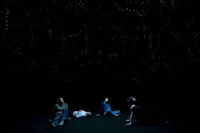 Deep seeing currents, 2026 - ARTIS, Amsterdam – 2026 - Photo: ARTIS, Maarten Nauw