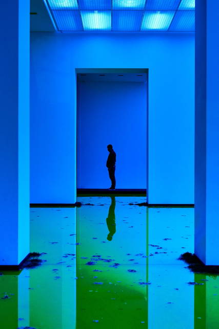 Life, 2021 - Fondation Beyeler, Riehen / Basel, Switzerland – 2021 - Photo: Mark Niedermann