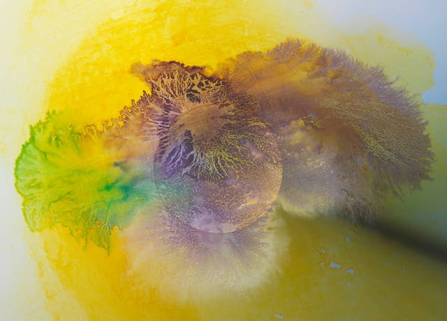 Colour experiment no. 106, 2020 - Studio Olafur Eliasson, Berlin – 2021 - Photo: Jens Ziehe
