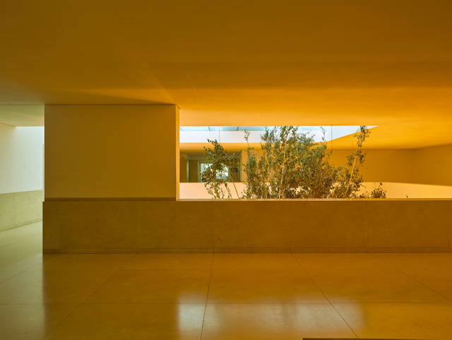 Yellow forest, 2017 - The Serralves Museum of Contemporary Art, Porto – 2019 - Photo: Filipe Braga