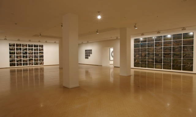 Installation view - Museum of Contemporary Art, Sydney – 2009 - Photo: Jenni Carter
