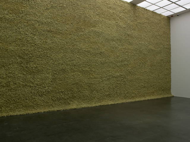 Moss wall, 1994 - Museum of Contemporary Art, Chicago – 1994 - Photo: Nathan Keay / Courtesy of Museum of Contemporary Art Chicago