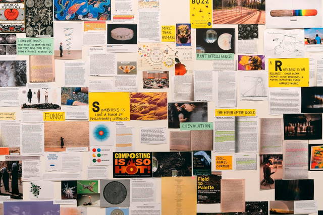 Symbiotic seeing, Installation view - Kunsthaus Zürich – 2020 - Photo: Franca Candrian