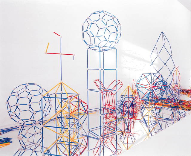 The structural evolution project