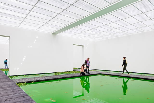 Life, 2021 - Fondation Beyeler, Riehen / Basel, Switzerland – 2021 - Photo: Mark Niedermann