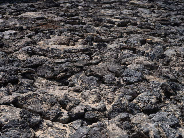 Your oil-spill garden, 2023 (Detail) - Al Thakhira, Qatar – 2023 - Photo: Anders Sune Berg
