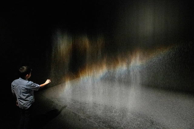 Beauty, 1993 - Museum of Contemporary Art Tokyo – 2020 - Photo: Kazuo Fukunaga