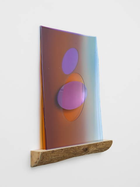 Forgetting our mammalian truths, 2022 - Tanya Bonakdar Gallery, New York – 2022 - Photo: Dan Bradica