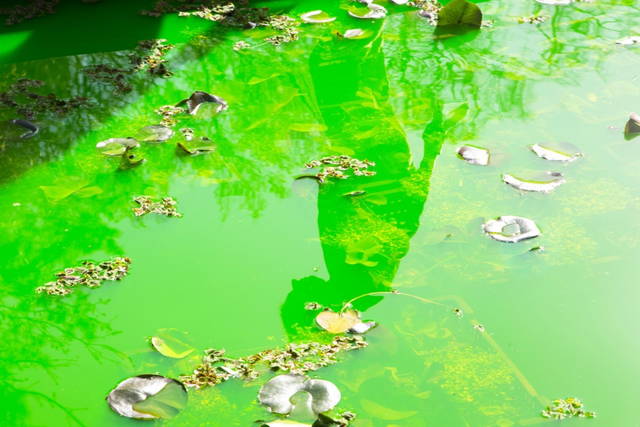 Detail of Life, 2021 - Fondation Beyeler, Riehen / Basel, Switzerland – 2021 - Photo: Pati Grabowicz