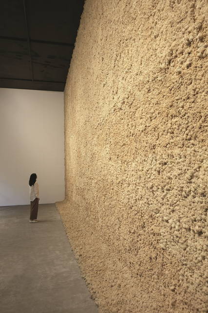 Moss wall, 1994 - Leeum, Samsung Museum of Art, Seoul – 2016 - Photo: Hyunsoo Kim
