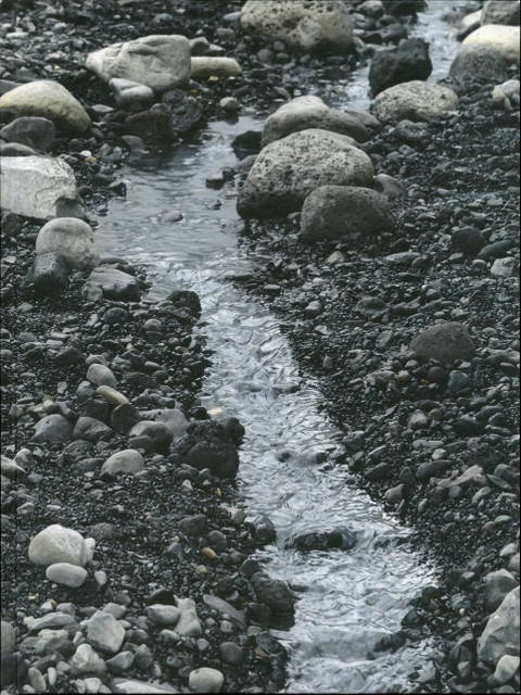 Riverbed: Olafur Eliasson at Louisiana