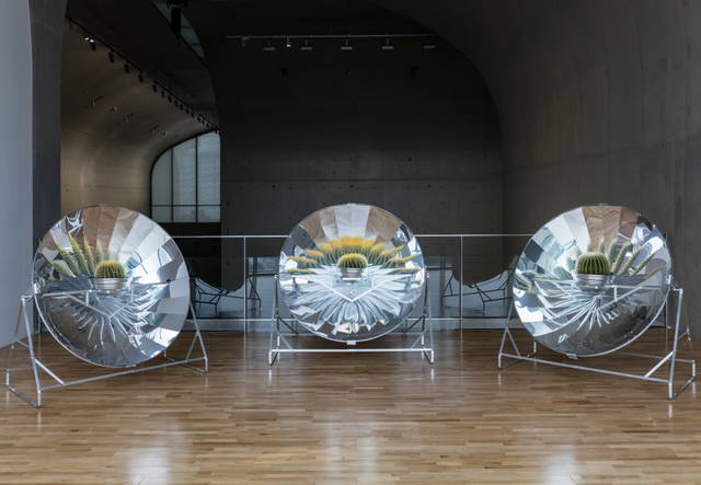 Seeing plants, 2003 - Long Museum, Shanghai – 2016 - Photo: Anders Sune Berg