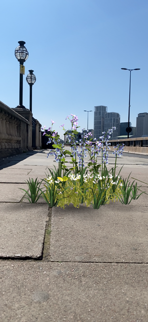 Wunderkammer, 2020 - London – 2021 - Photo: Acute Art