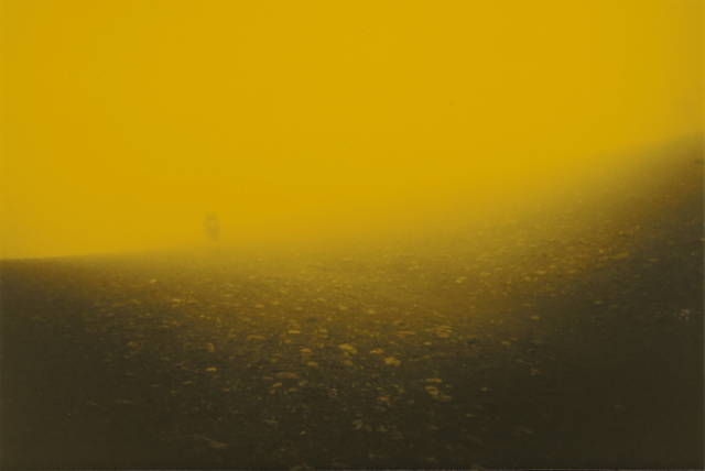 Yellow series, 1995, 1995, single print