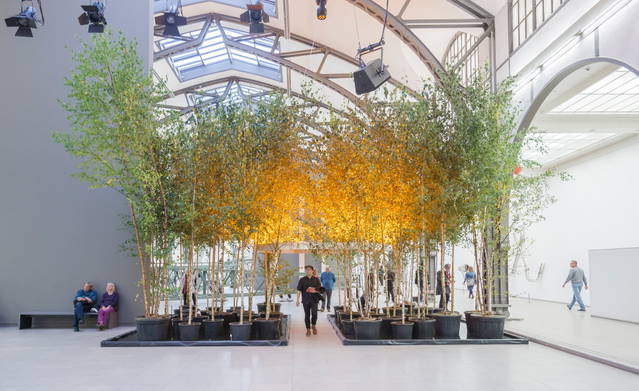 Yellow forest, 2017 - Hamburger Bahnhof Museum, Berlin – 2017 - Photo: David von Becker