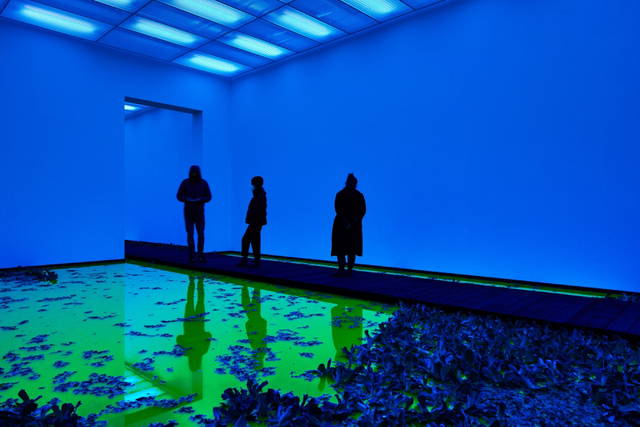 Life, 2021 - Fondation Beyeler, Riehen / Basel, Switzerland – 2021 - Photo: Mark Niedermann