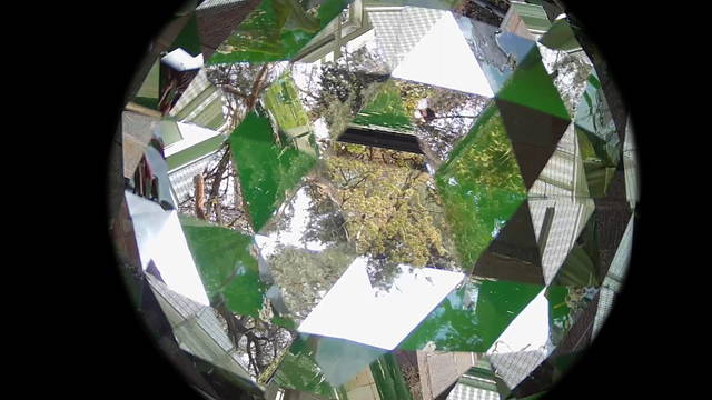 Livestream still from Life, 2021 - Fondation Beyeler, Riehen / Basel, Switzerland – 2021 - Photo: Studio Olafur Eliasson