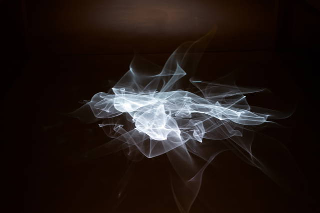 The nowhere garden, 2024 - Kyoto, Japan – 2024 - Photo: Tomohiko Ishii