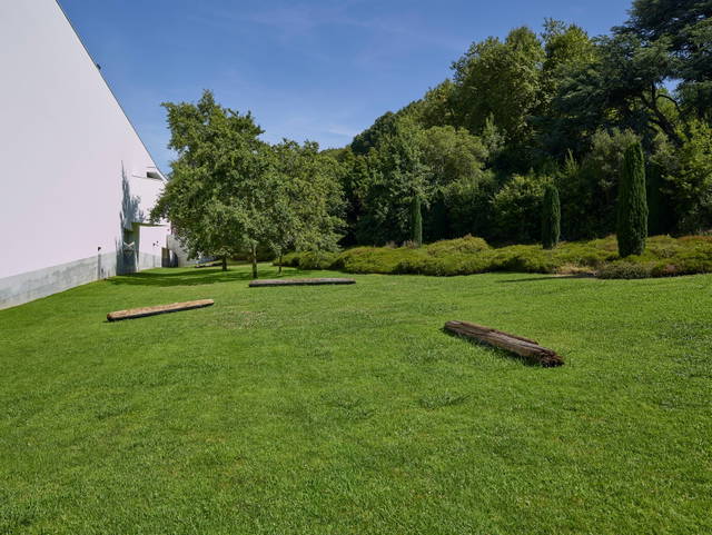 Arctic tree horizon, 2019 - The Serralves Museum of Contemporary Art, Porto – 2019 - Photo: Filipe Braga