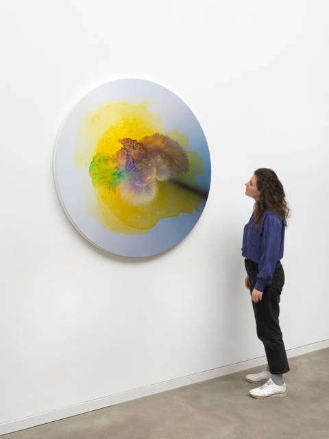 Colour experiment no. 106, 2020 - Studio Olafur Eliasson, Berlin – 2021 - Photo: Jens Ziehe