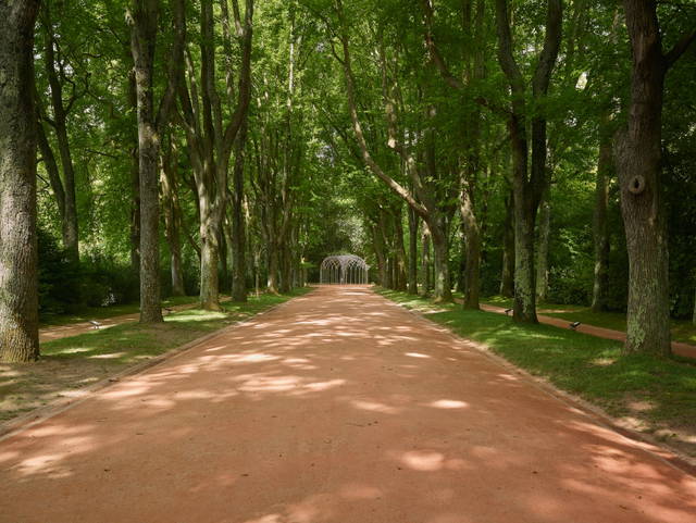 The curious vortex, 2019 - The Serralves Museum of Contemporary Art, Porto – 2019 - Photo: Filipe Braga