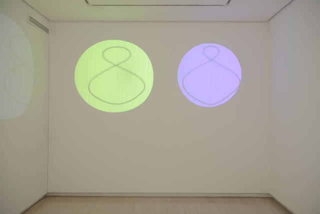 A slightly desynchronised but otherwise perfect couple, 2014 - Galería Elvira González, Madrid – 2014 - Photo: Cuauhtli Gutiérrez