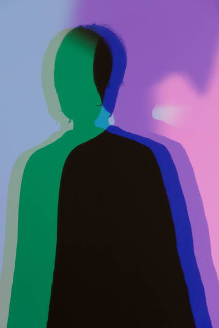 Your uncertain shadow (colour), 2010 - The Winter Palace of Prince Eugene of Savoy, Vienna – 2015 - Photo: Anders Sune Berg
