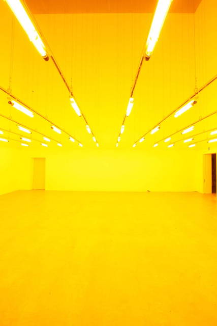 Room for one colour, 1997 - 21st Century Museum of Contemporary Art, Kanazawa, Japan – 2009 - Photo: Studio Olafur Eliasson