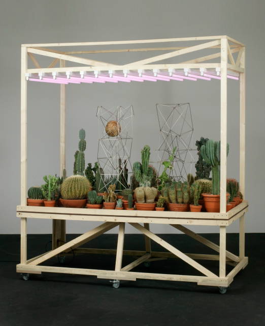 Psycho physical machine