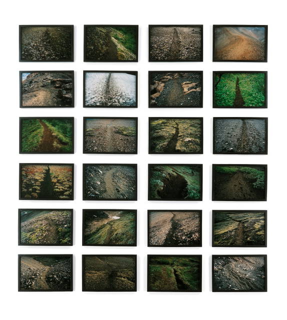 The path series