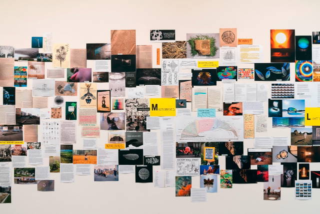 Symbiotic seeing, Installation view - Kunsthaus Zürich – 2020 - Photo: Franca Candrian