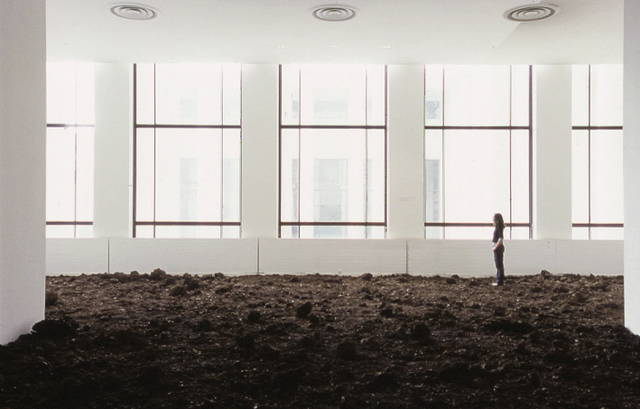 Lava floor, 2002 - Musée d’Art Moderne de la Ville de Paris – 2002 - Photo: Marc Domage