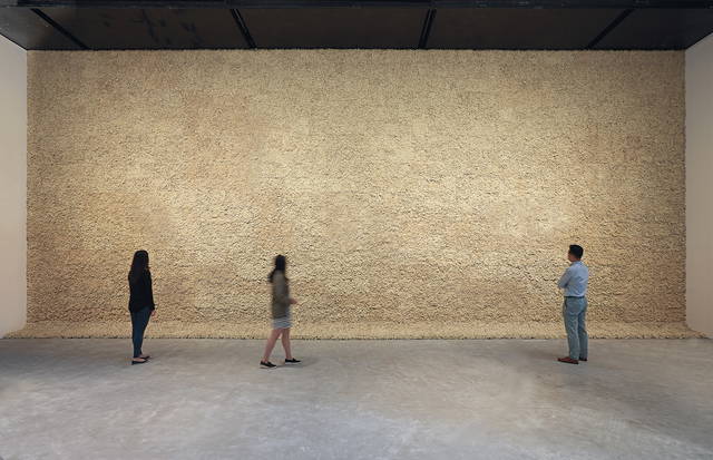 Moss wall, 1994 - Leeum, Samsung Museum of Art, Seoul – 2016 - Photo: Hyunsoo Kim