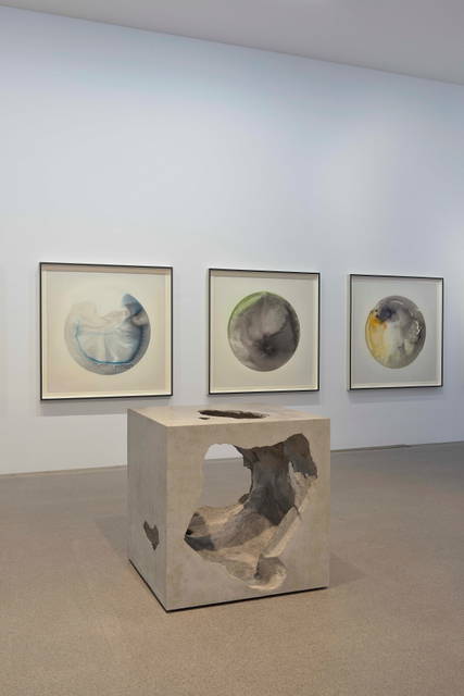 Installation view - Pinakothek der Moderne, Munich – 2018 - Photo: Gunnar Gustafsson