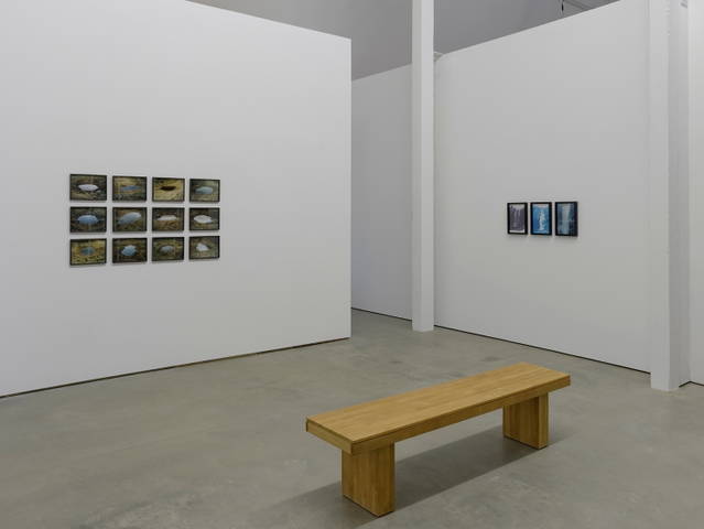 Installation view - Hall Art Foundation, Reading, Vermont – 2014 - Photo: Jeffrey Nintzel; Courtesy Hall Art Foundation