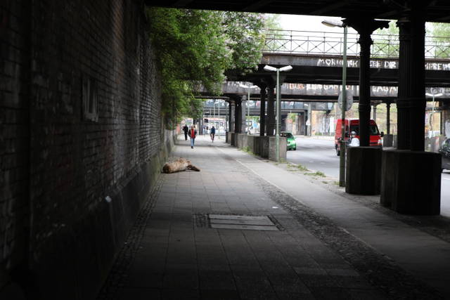 Berliner Treibholz, 2009 - Berlin – 2010 - Photo: María del Pilar García Ayensa / Studio Olafur Eliasson