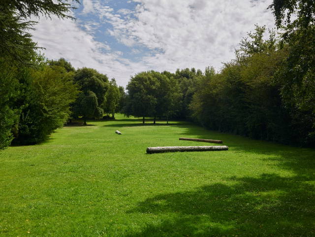 Arctic tree horizon, 2019 - The Serralves Museum of Contemporary Art, Porto – 2019 - Photo: Filipe Braga
